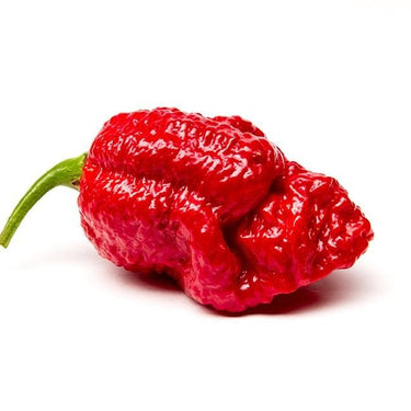 Red Scotch Brain Strain Pepper Seeds (7 Pot Strain) - The Pepper Pantry (Formerly Marie Sharp's)